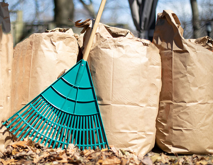 Leaf Pick Up Services